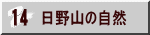 日野山の自然